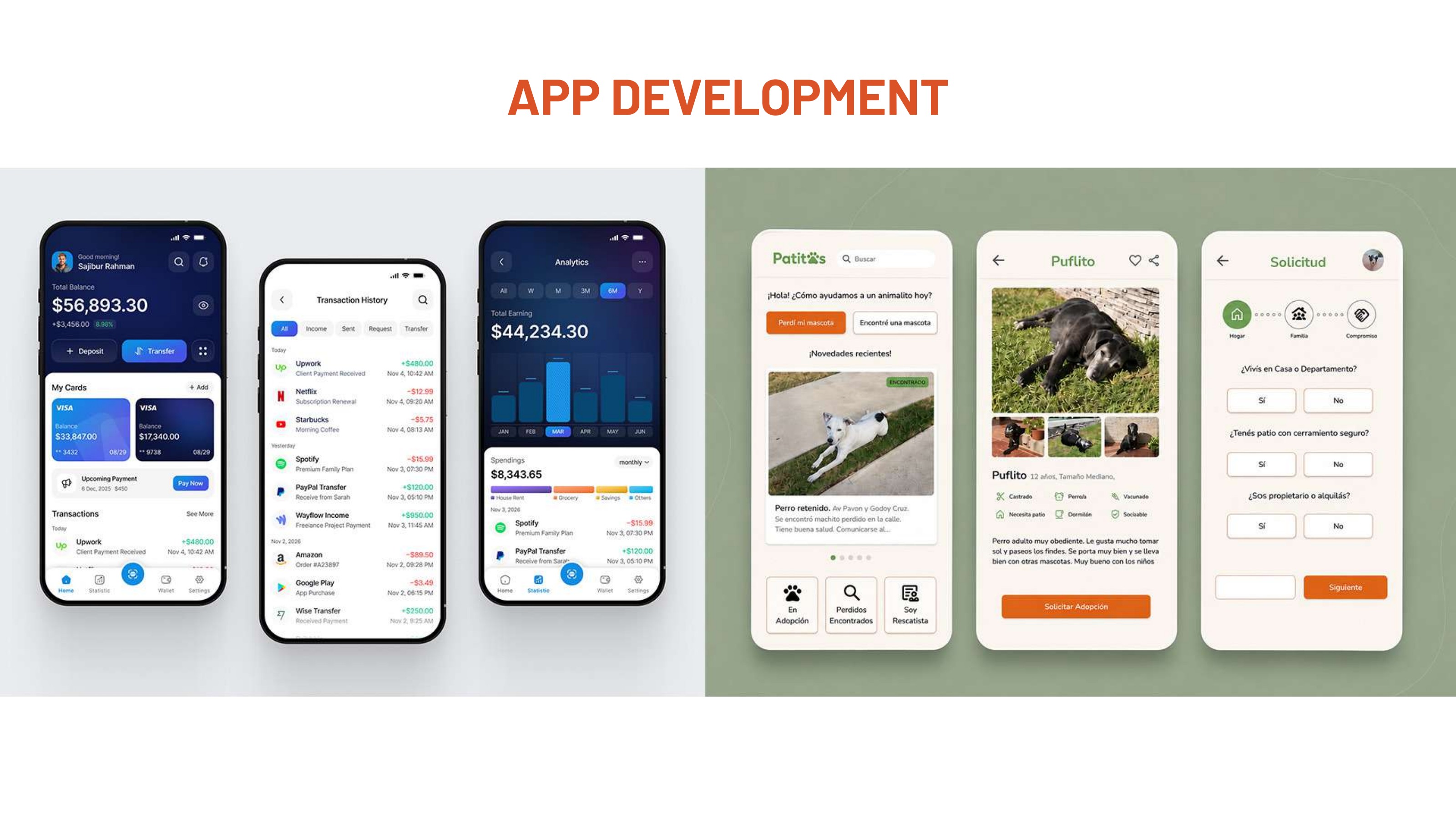 FinTech & Pet Adoption preview